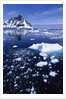 Icebergs in Lemaire Channel by Anonymous