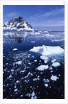 Icebergs in Lemaire Channel by Anonymous