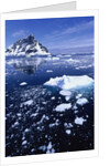 Icebergs in Lemaire Channel by Anonymous