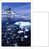 Icebergs in Lemaire Channel by Anonymous
