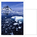 Icebergs in Lemaire Channel by Anonymous