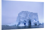 Iceberg in Antarctica by Anonymous