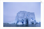 Iceberg in Antarctica by Anonymous