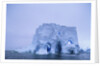 Iceberg in Antarctica by Anonymous