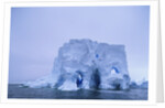 Iceberg in Antarctica by Anonymous