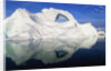 Dorian Bay Iceberg by Anonymous