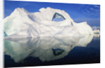 Dorian Bay Iceberg by Anonymous