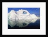 Dorian Bay Iceberg by Anonymous