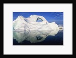 Dorian Bay Iceberg by Anonymous