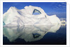 Dorian Bay Iceberg by Anonymous