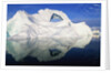 Dorian Bay Iceberg by Anonymous