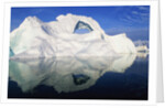 Dorian Bay Iceberg by Anonymous