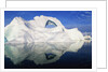 Dorian Bay Iceberg by Anonymous