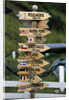Mileage Sign Pointing Directions in Puerto Williams by Anonymous