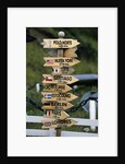 Mileage Sign Pointing Directions in Puerto Williams by Anonymous