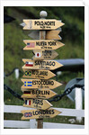 Mileage Sign Pointing Directions in Puerto Williams by Anonymous