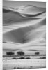 Sossusvlei Sand Dunes by Anonymous