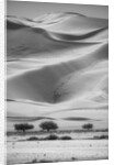 Sossusvlei Sand Dunes by Anonymous