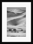 Sossusvlei Sand Dunes by Anonymous
