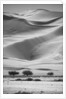 Sossusvlei Sand Dunes by Anonymous