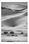 Sossusvlei Sand Dunes by Anonymous