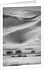 Sossusvlei Sand Dunes by Anonymous