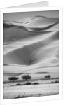Sossusvlei Sand Dunes by Anonymous