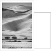 Sossusvlei Sand Dunes by Anonymous