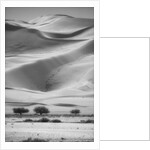 Sossusvlei Sand Dunes by Anonymous
