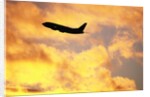 Jet Taking Off from SeaTac International Airport by Anonymous