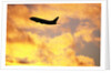 Jet Taking Off from SeaTac International Airport by Anonymous