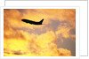 Jet Taking Off from SeaTac International Airport by Anonymous