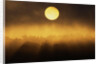 Sunrise Through Fog by Anonymous