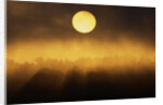 Sunrise Through Fog by Anonymous