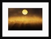 Sunrise Through Fog by Anonymous