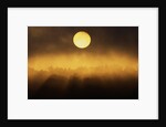 Sunrise Through Fog by Anonymous