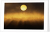 Sunrise Through Fog by Anonymous