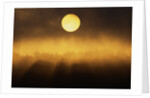 Sunrise Through Fog by Anonymous