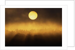 Sunrise Through Fog by Anonymous