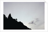 Female Hiker Climbing Twin Peaks by Anonymous