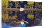 Bald Eagle Perched on Branch by Anonymous