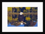 Bald Eagle Perched on Branch by Anonymous