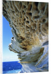Cliff Eroding at Maroubra Beach by Anonymous