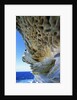 Cliff Eroding at Maroubra Beach by Anonymous