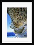 Cliff Eroding at Maroubra Beach by Anonymous