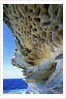 Cliff Eroding at Maroubra Beach by Anonymous