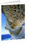 Cliff Eroding at Maroubra Beach by Anonymous