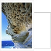 Cliff Eroding at Maroubra Beach by Anonymous