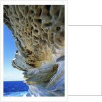 Cliff Eroding at Maroubra Beach by Anonymous