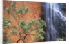 Ayers Rock Waterfall by Anonymous